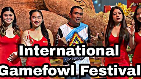 INTERNATIONAL GAMEFOWL FESTIVAL 2024 .